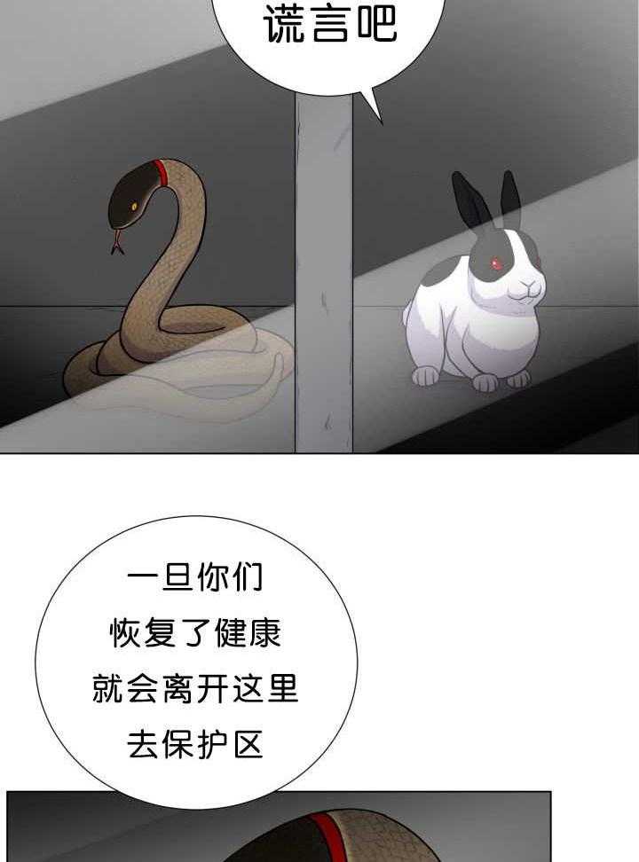 旷野之息（共2季） 第39话 第8页