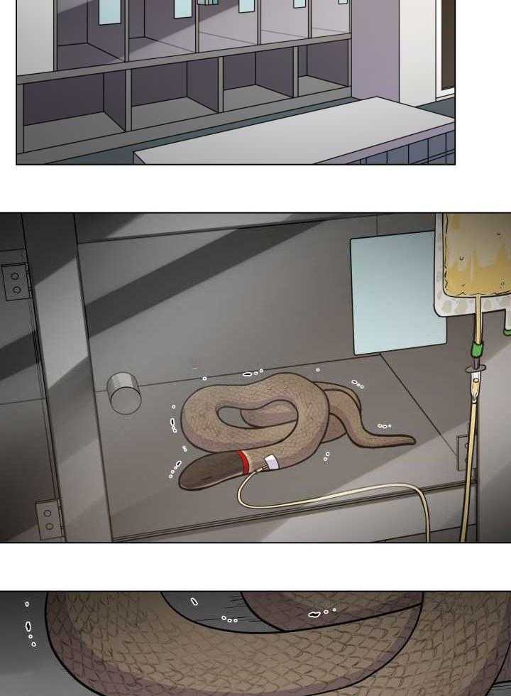 旷野之息（共2季） 第39话 第14页