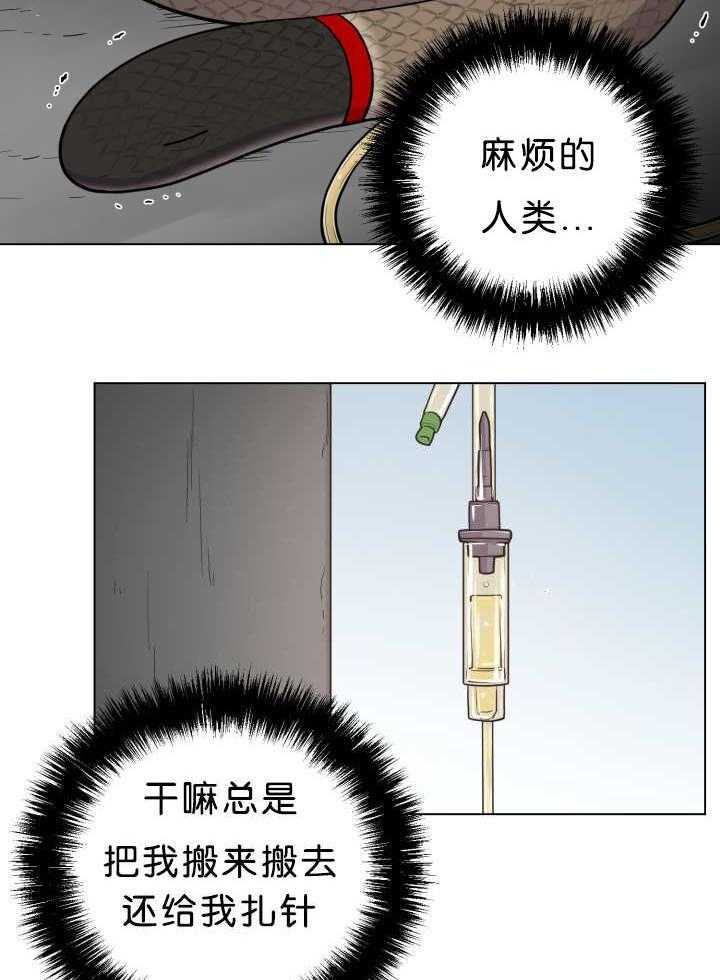 旷野之息（共2季） 第39话 第15页