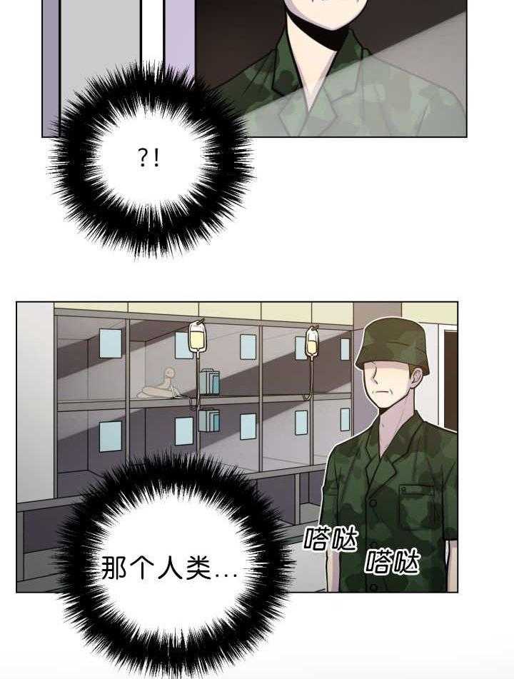 旷野之息（共2季） 第39话 第24页