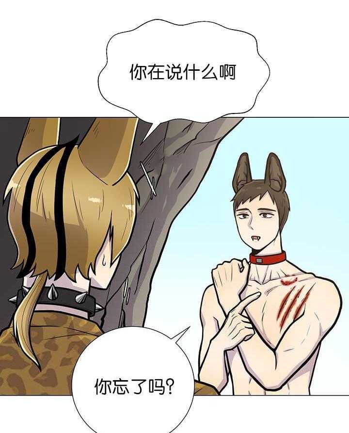 旷野之息（共2季） 第4话 第7页