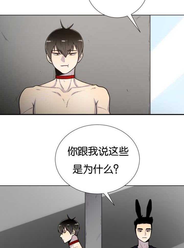 旷野之息（共2季） 第40话 第6页