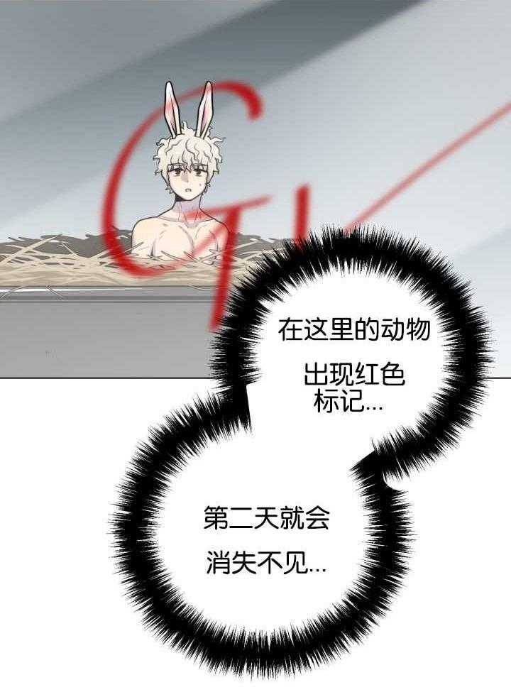 旷野之息（共2季） 第40话 第17页