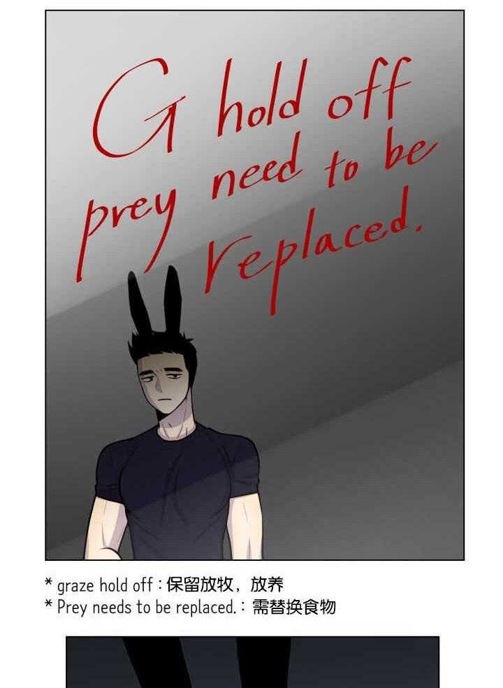 旷野之息（共2季） 第41话 第6页