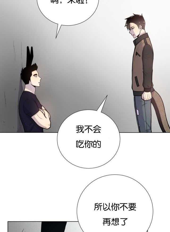 旷野之息（共2季） 第41话 第21页