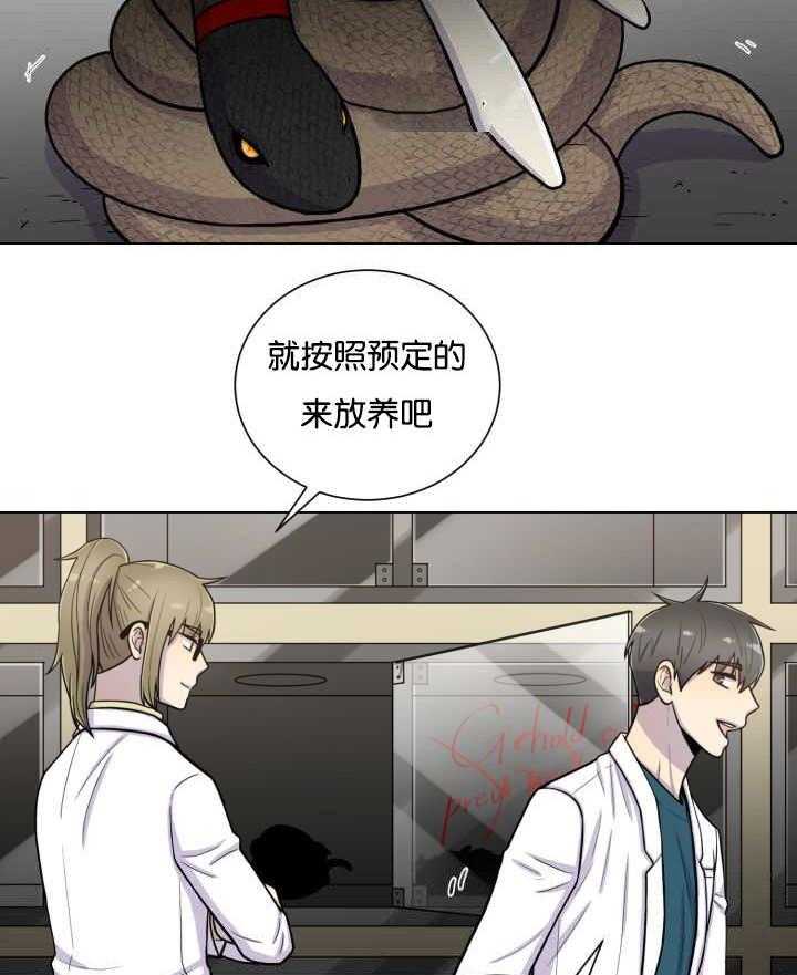 旷野之息（共2季） 第42话 第32页