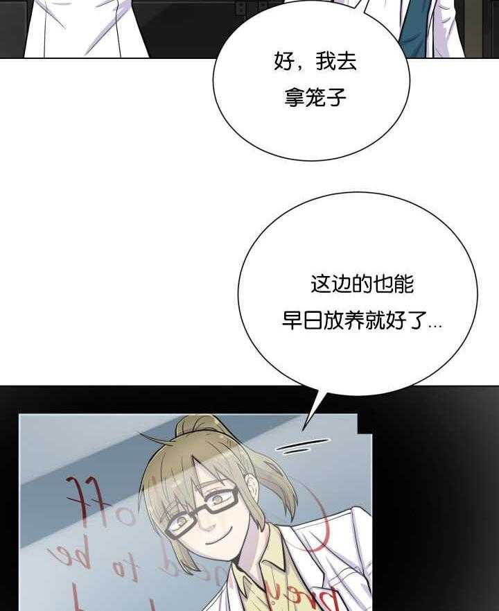 旷野之息（共2季） 第42话 第33页