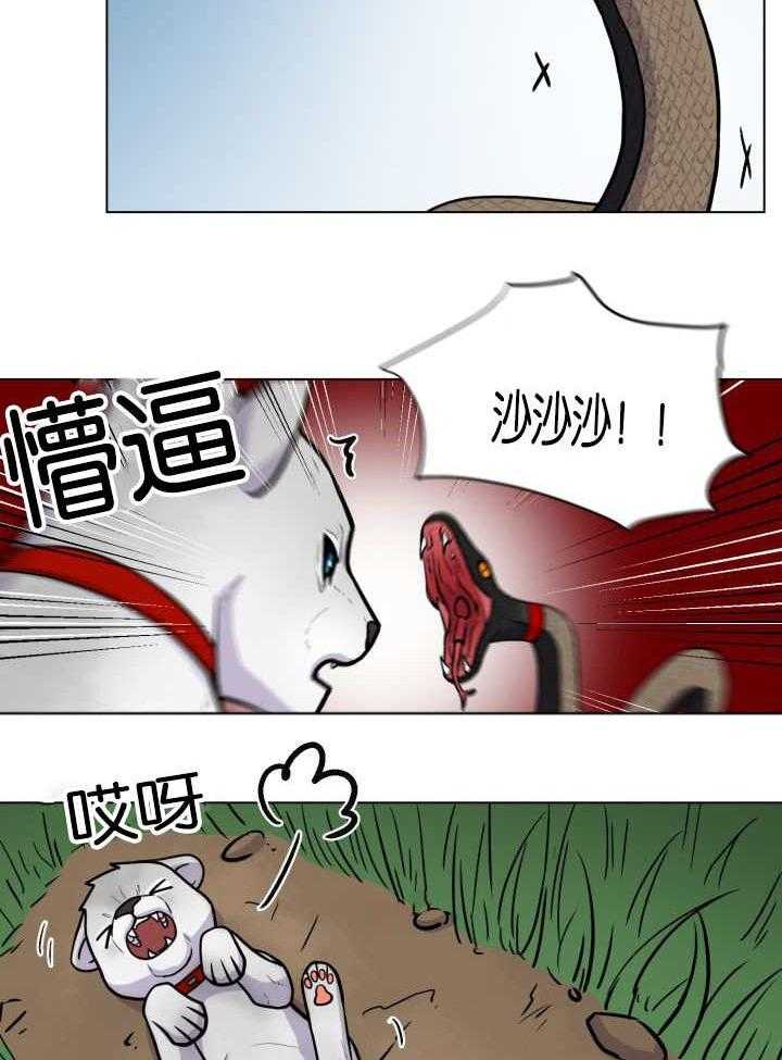 旷野之息（共2季） 第43话 第2页