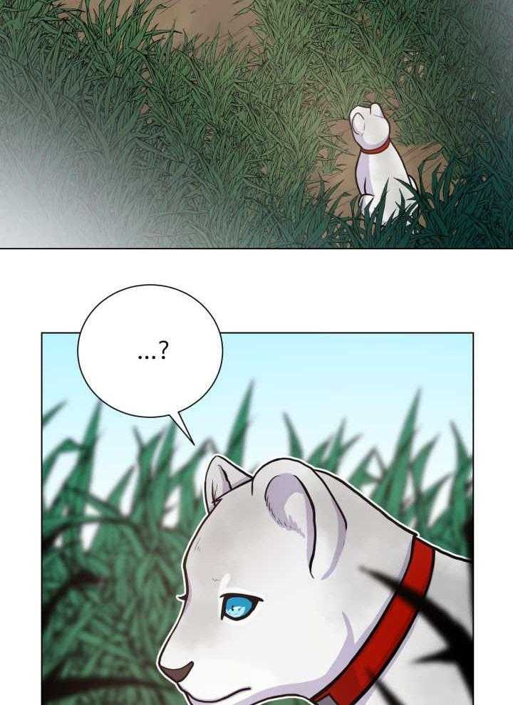 旷野之息（共2季） 第43话 第12页