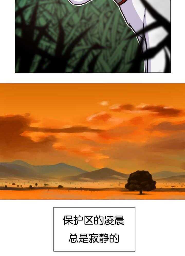 旷野之息（共2季） 第43话 第13页