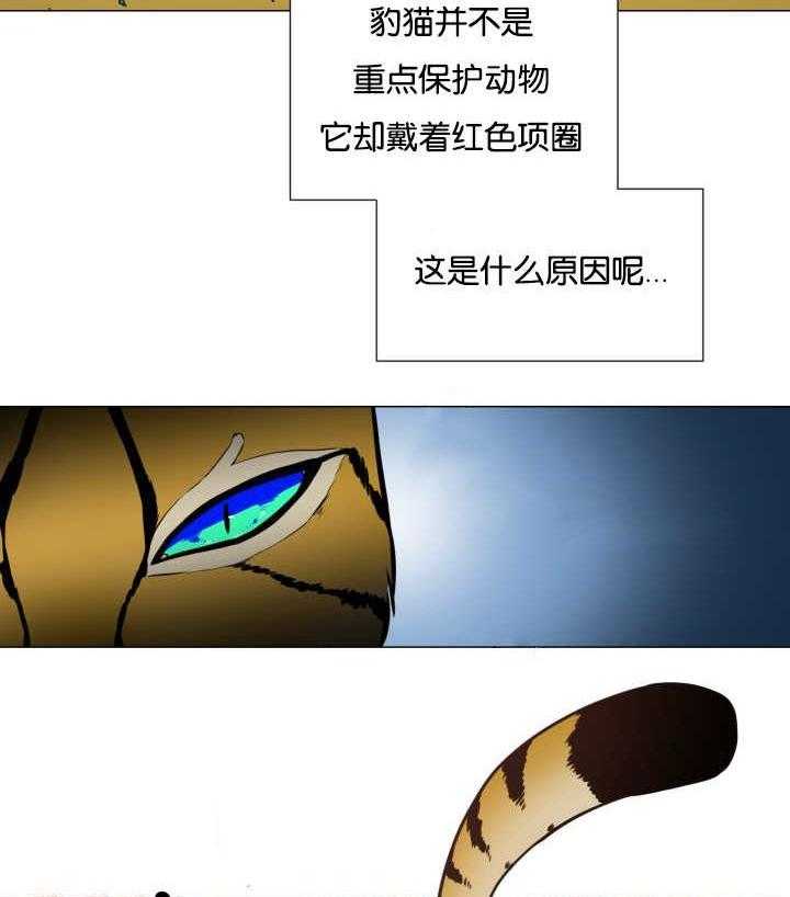 旷野之息（共2季） 第43话 第16页