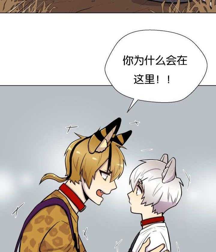 旷野之息（共2季） 第45话 第15页