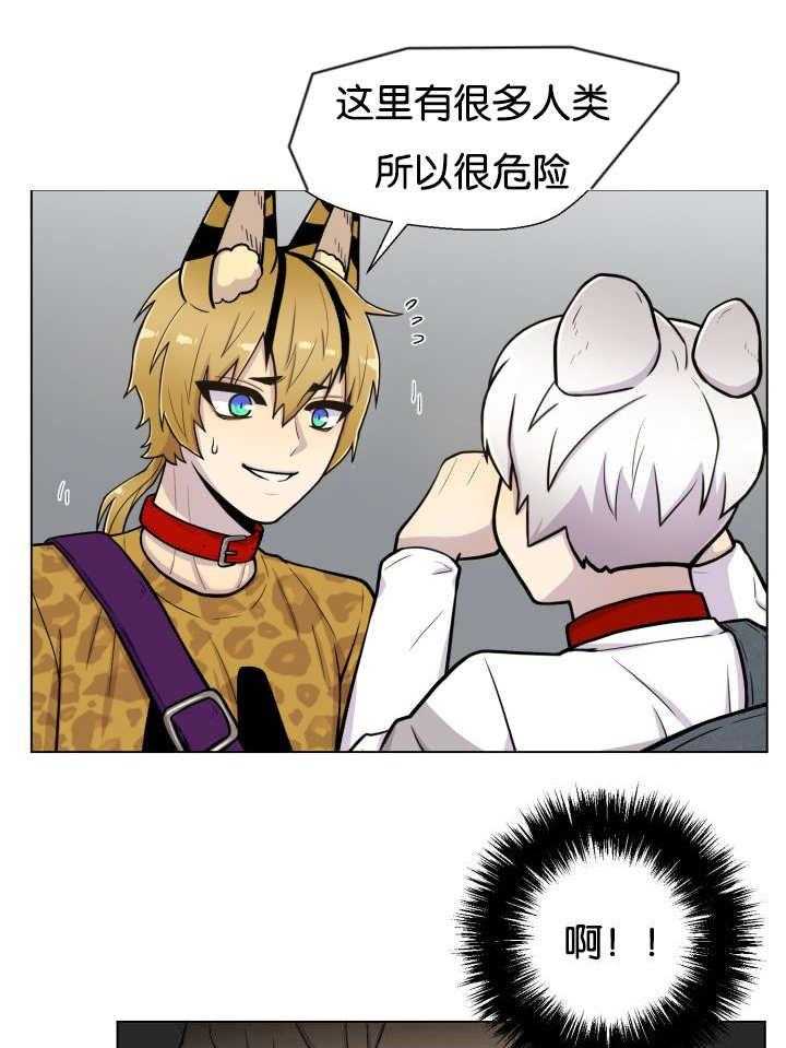 旷野之息（共2季） 第46话 第0页