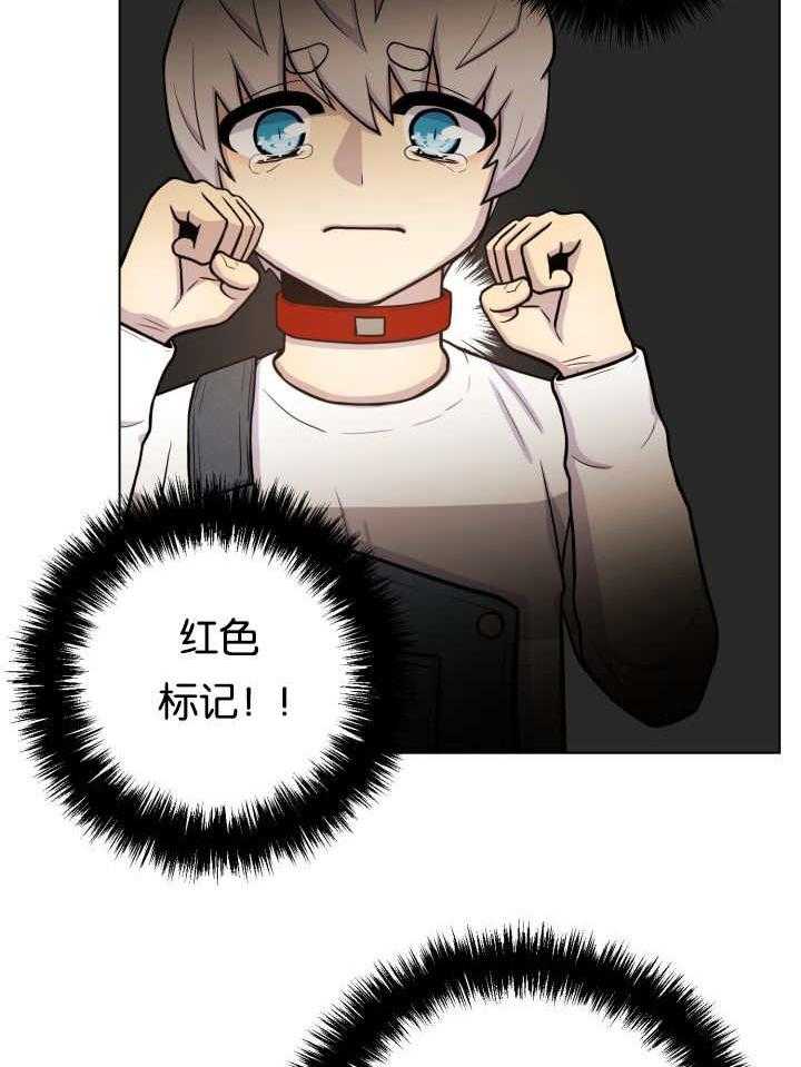 旷野之息（共2季） 第46话 第1页