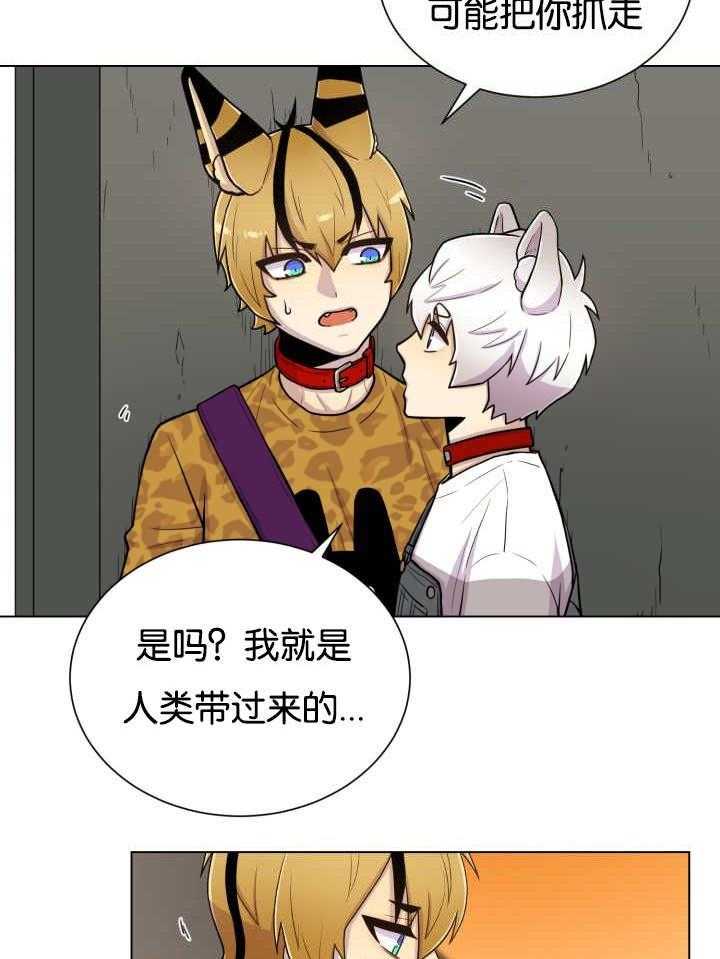 旷野之息（共2季） 第46话 第7页