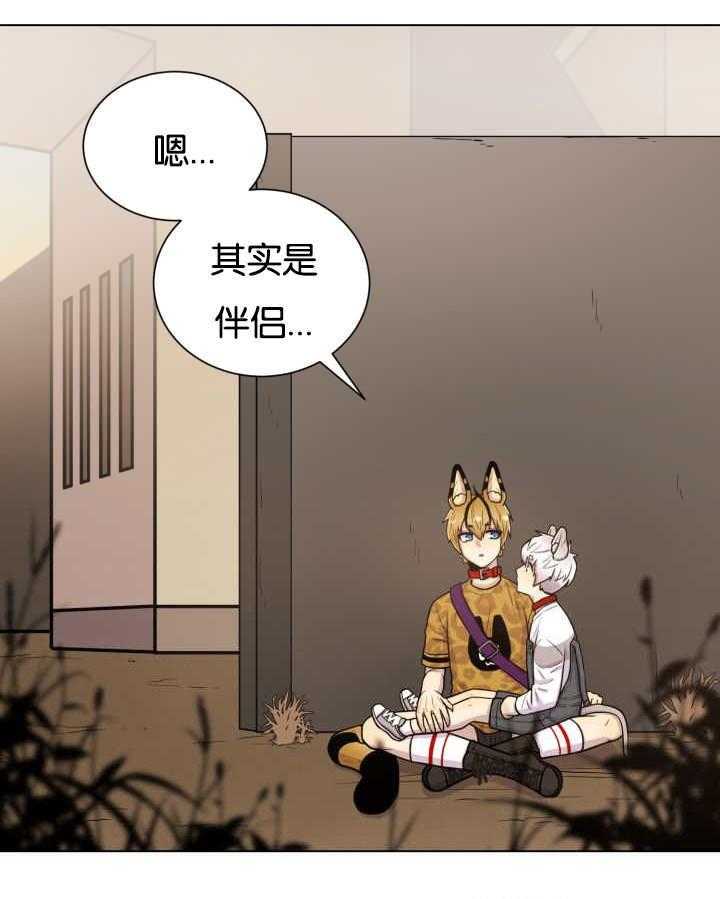 旷野之息（共2季） 第46话 第11页