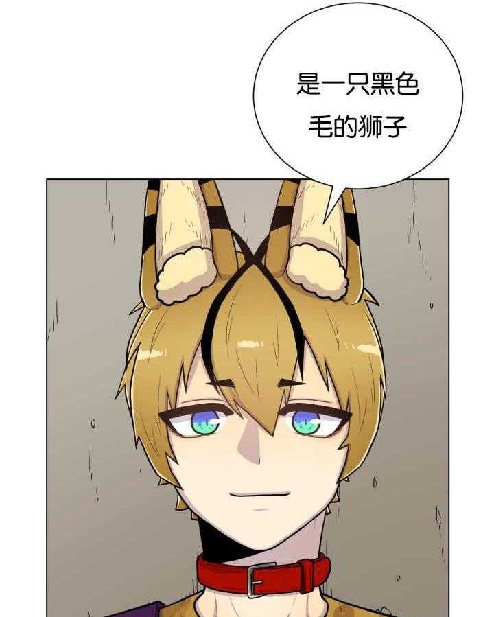 旷野之息（共2季） 第46话 第12页