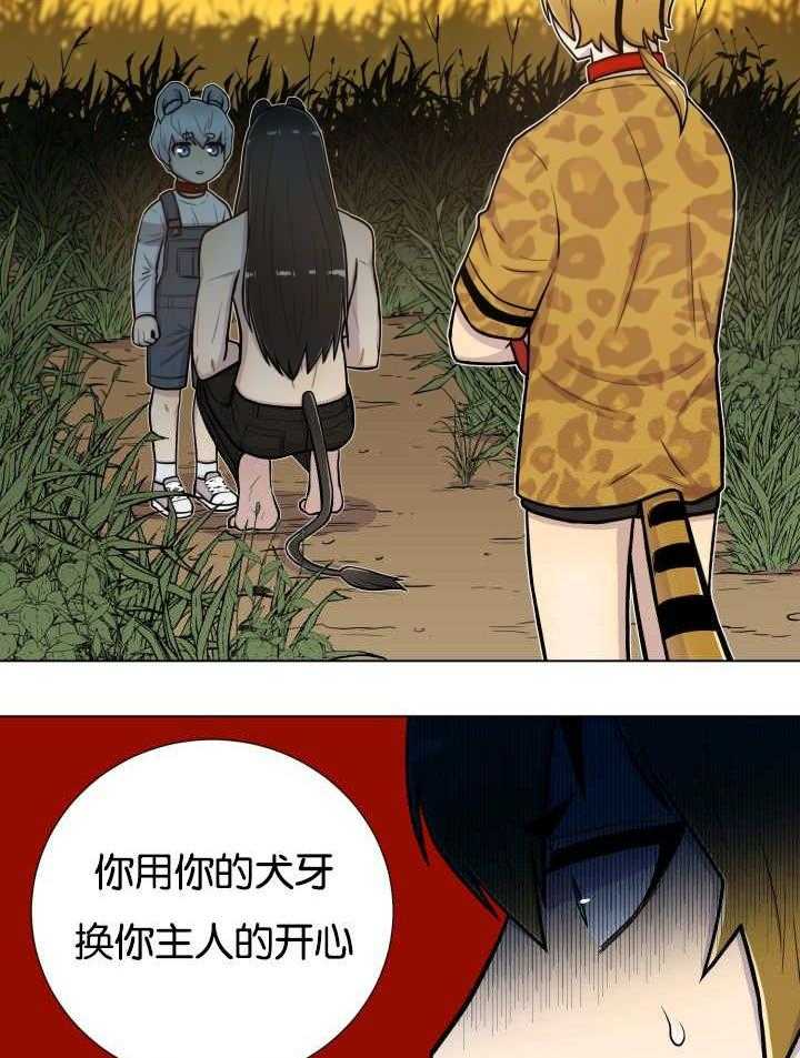 旷野之息（共2季） 第49话 第3页