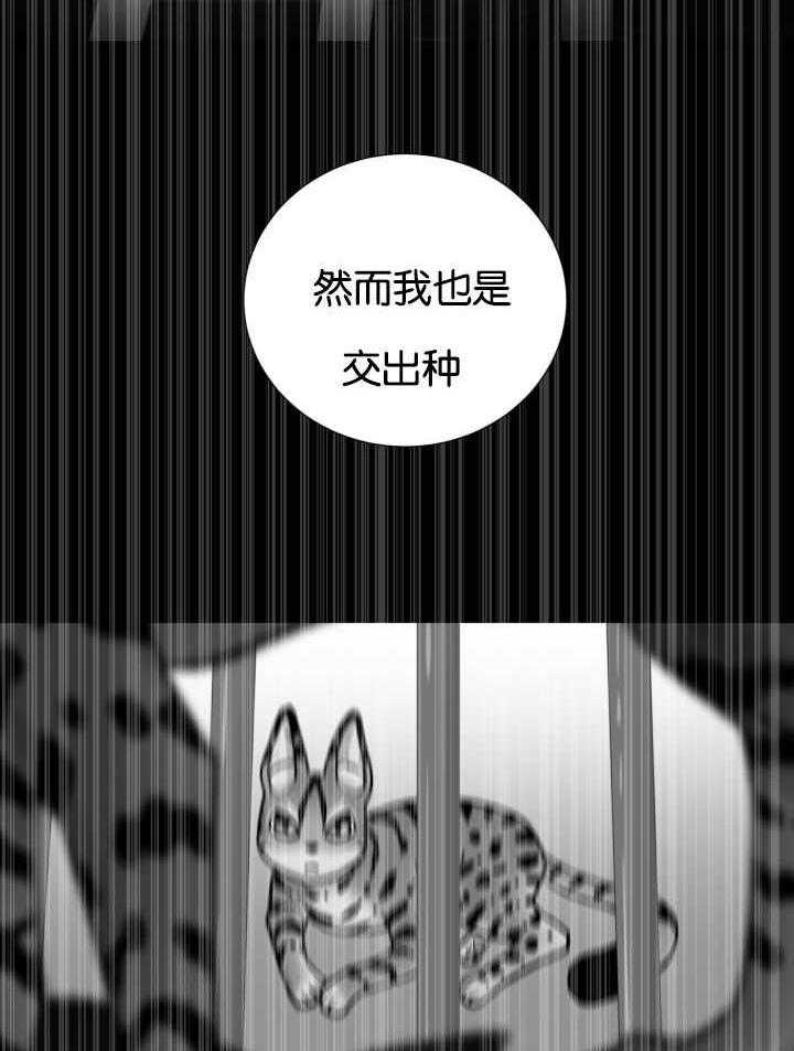 旷野之息（共2季） 第49话 第5页