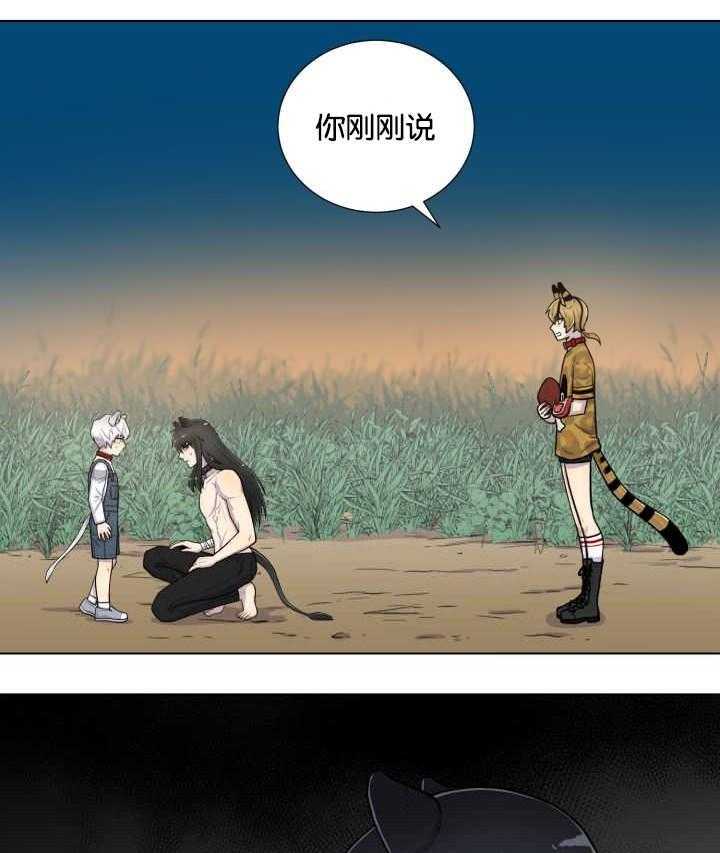 旷野之息（共2季）第49话图