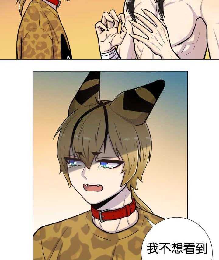 旷野之息（共2季） 第49话 第13页