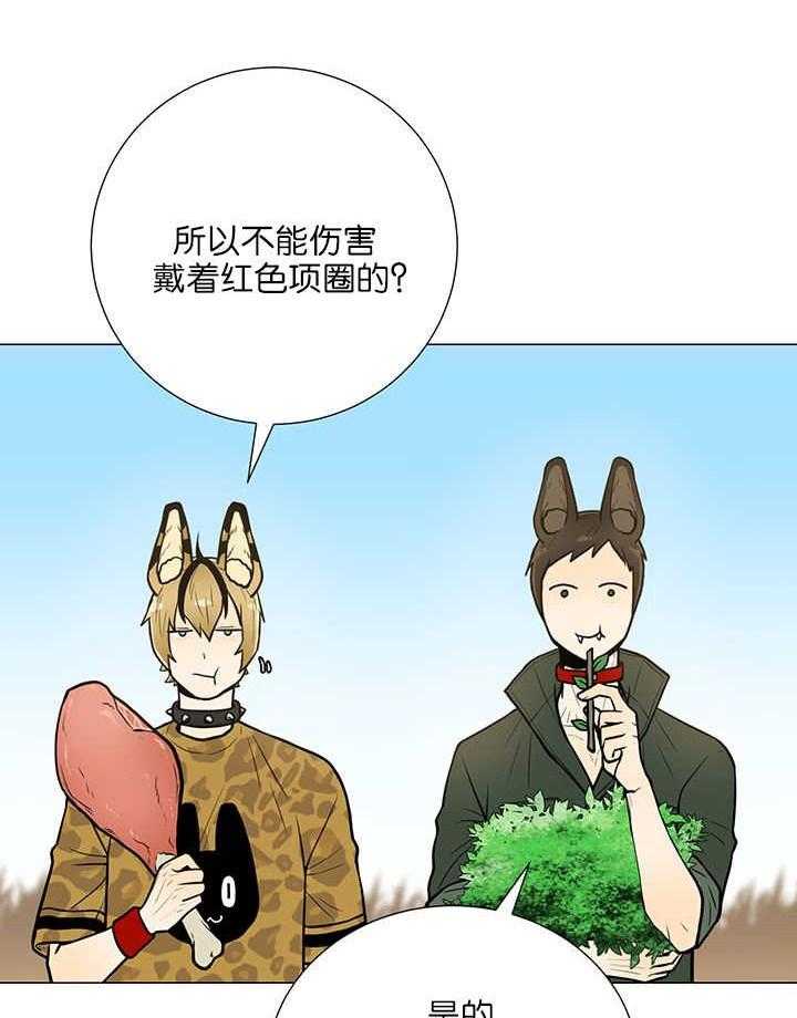 旷野之息（共2季） 第5话 第3页