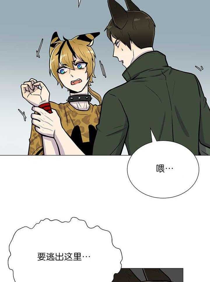 旷野之息（共2季） 第5话 第14页