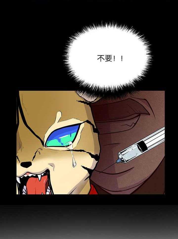 旷野之息（共2季） 第5话 第17页