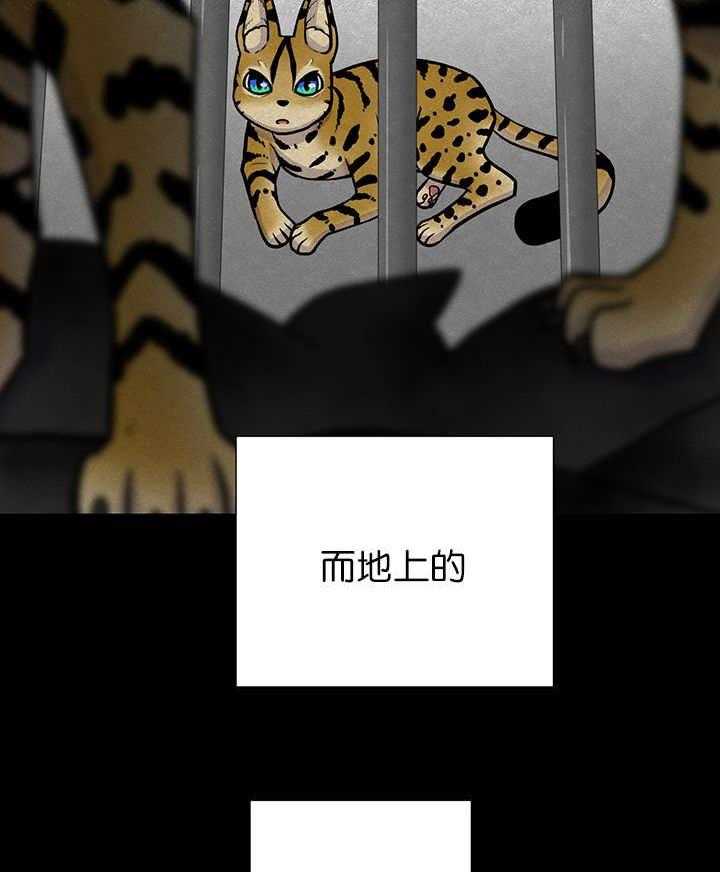 旷野之息（共2季） 第5话 第22页