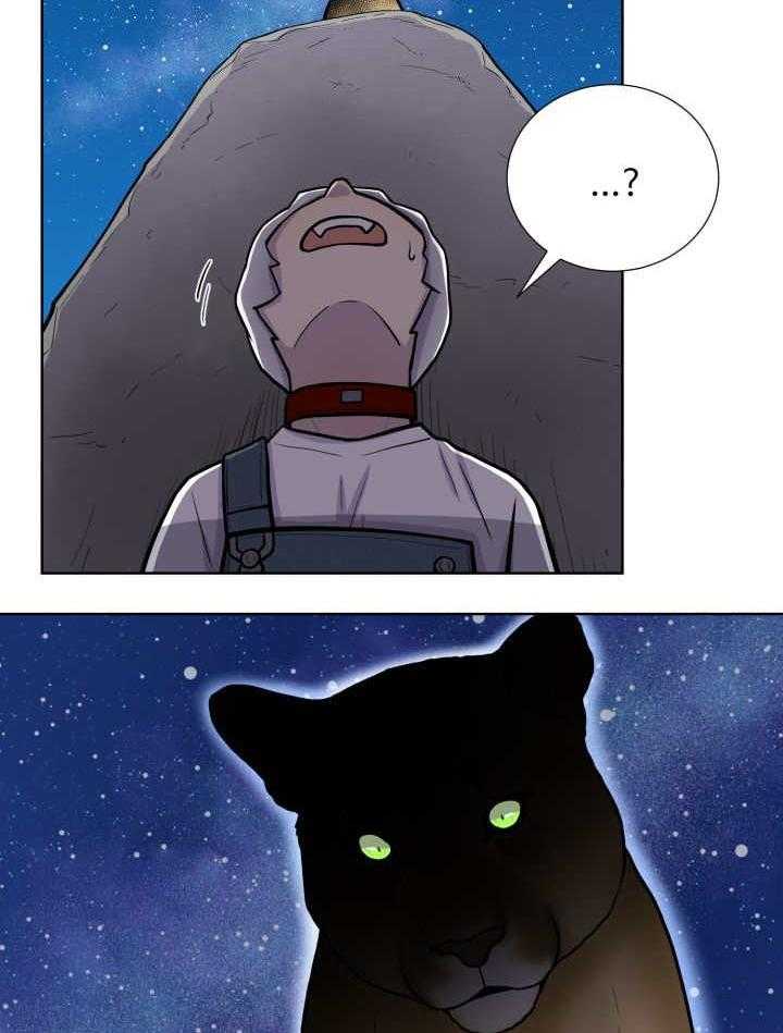 旷野之息（共2季） 第50话 第17页