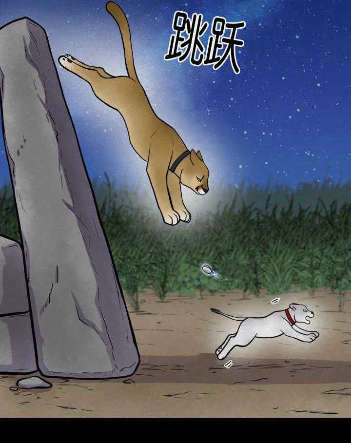 旷野之息（共2季） 第51话 第7页