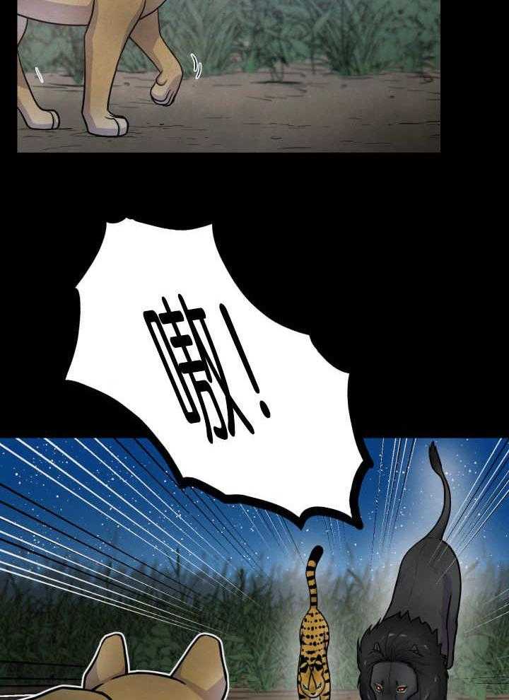 旷野之息（共2季） 第51话 第11页