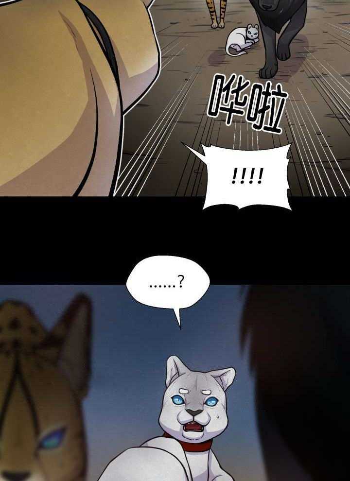 旷野之息（共2季） 第51话 第12页