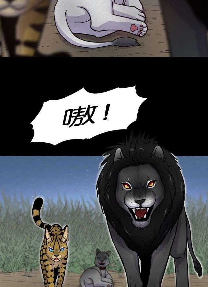 旷野之息（共2季） 第51话 第13页