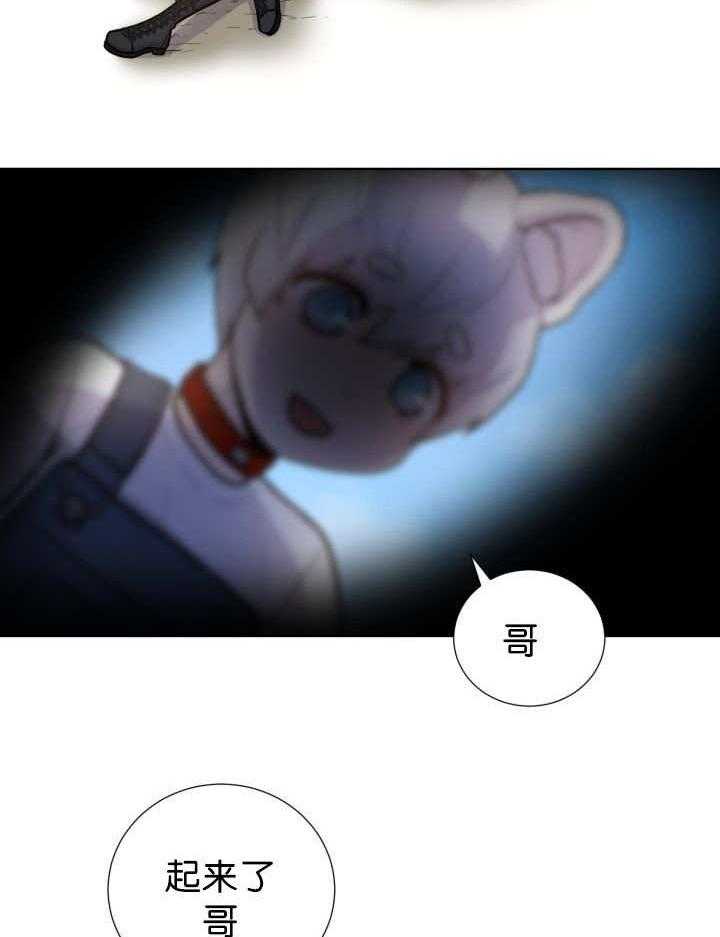 旷野之息（共2季） 第51话 第18页