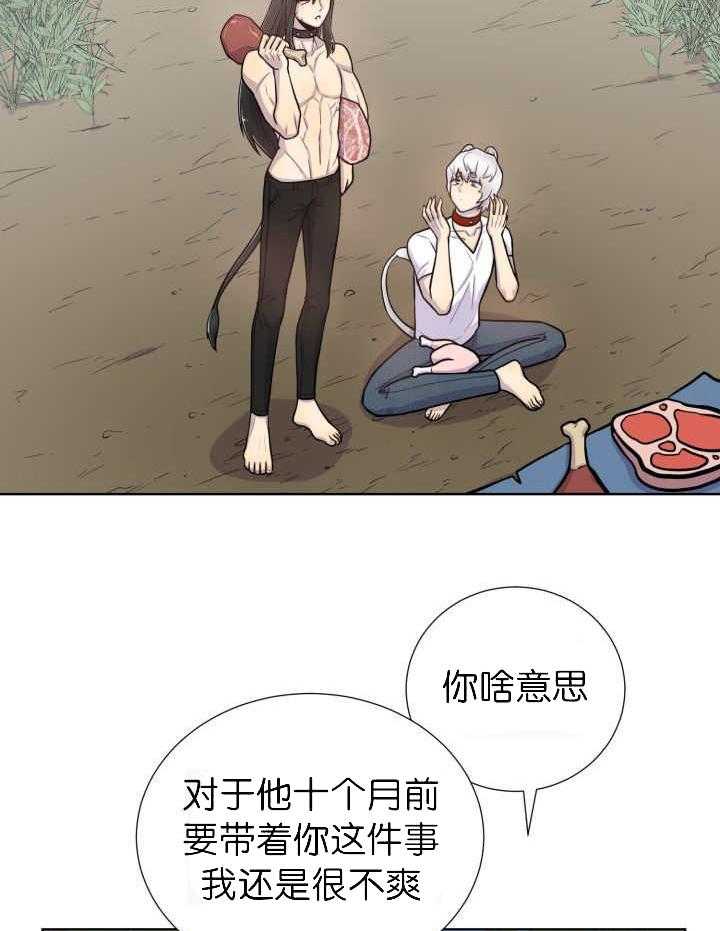 旷野之息（共2季） 第52话 第13页