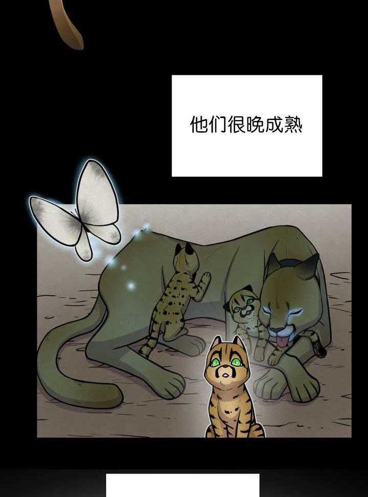 旷野之息（共2季） 第53话 第1页