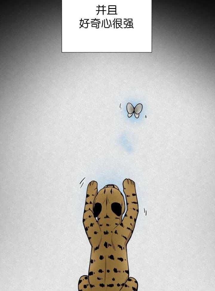 旷野之息（共2季） 第53话 第2页