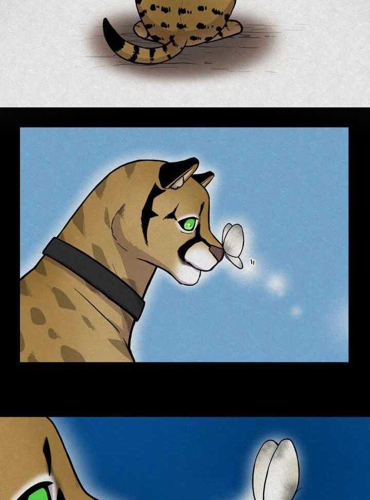 旷野之息（共2季） 第53话 第3页