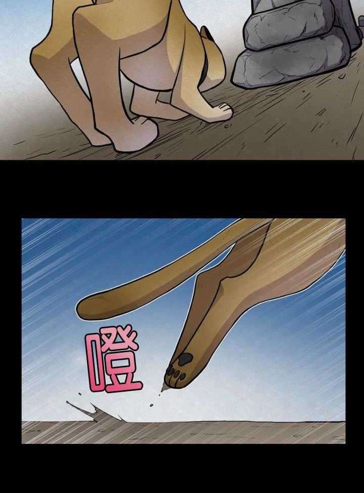 旷野之息（共2季） 第53话 第5页