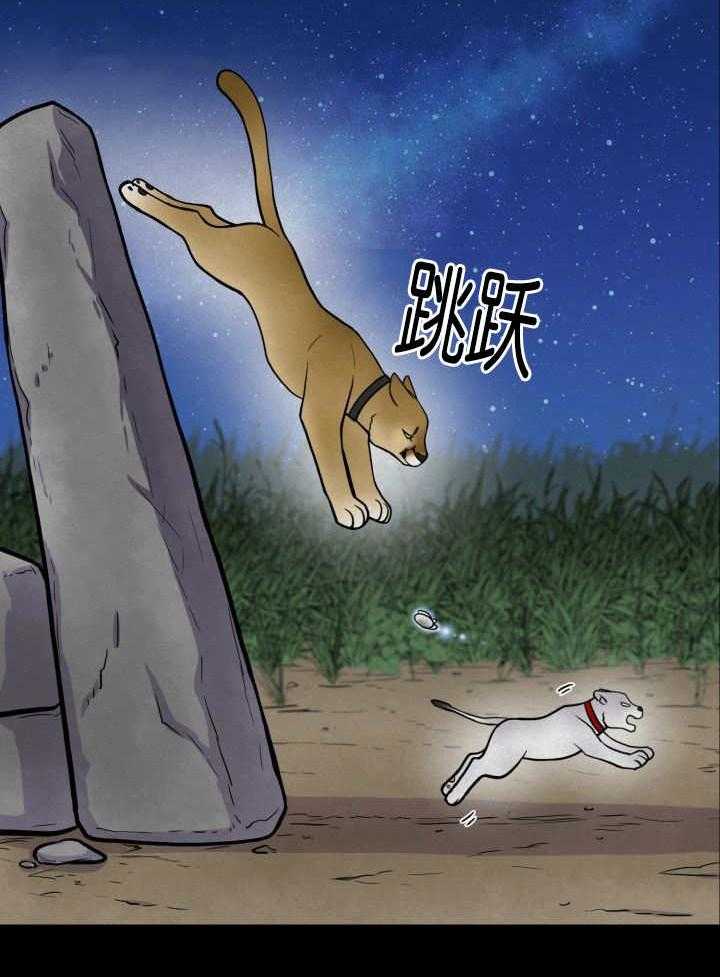 旷野之息（共2季） 第53话 第8页