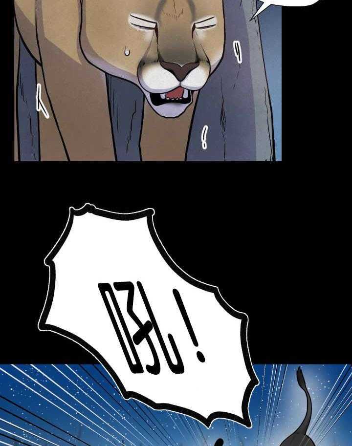 旷野之息（共2季） 第53话 第11页