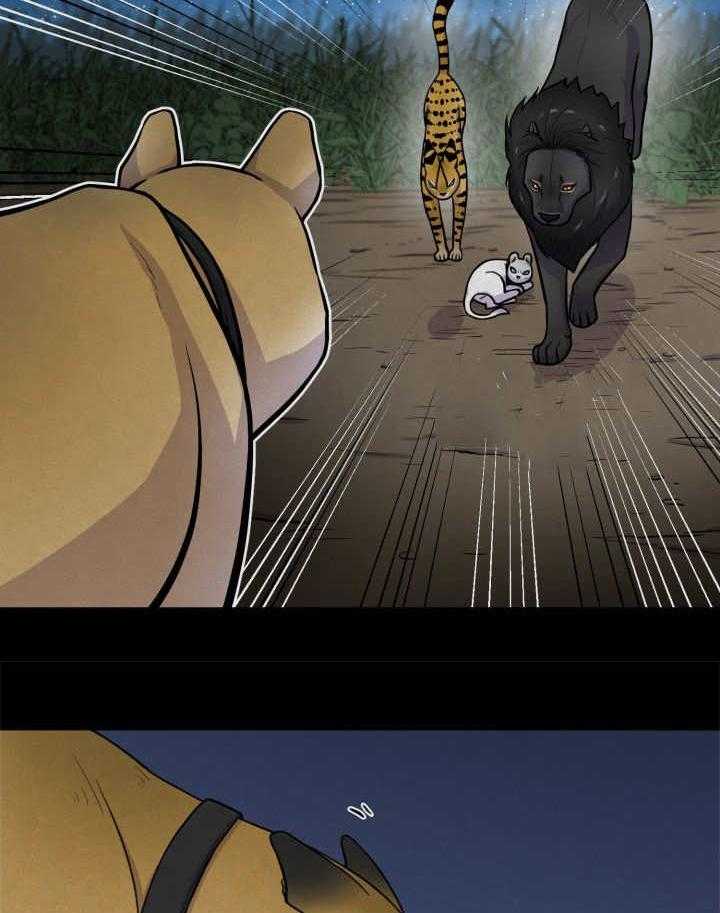 旷野之息（共2季） 第53话 第12页