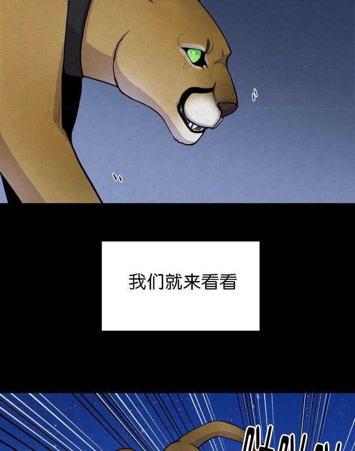 旷野之息（共2季） 第53话 第13页