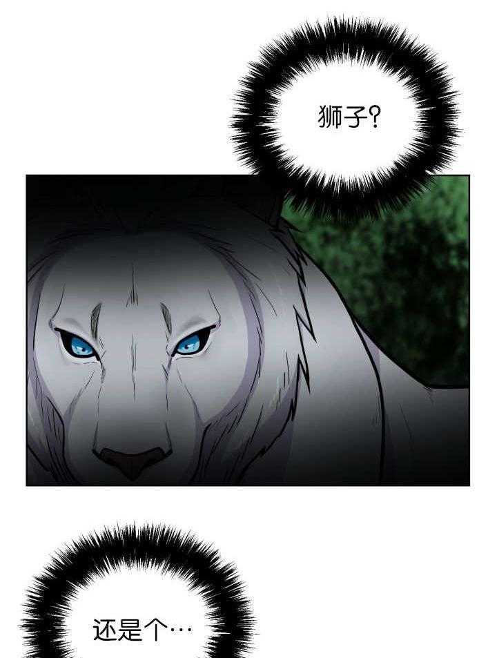 旷野之息（共2季） 第54话 第1页