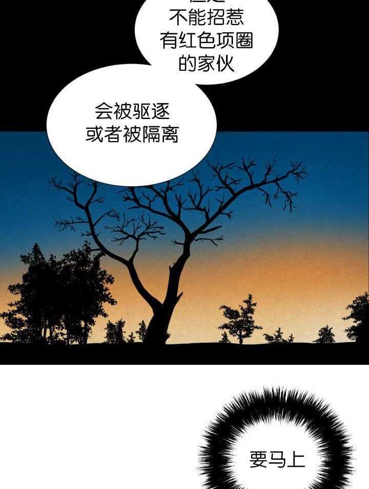 旷野之息（共2季） 第54话 第5页