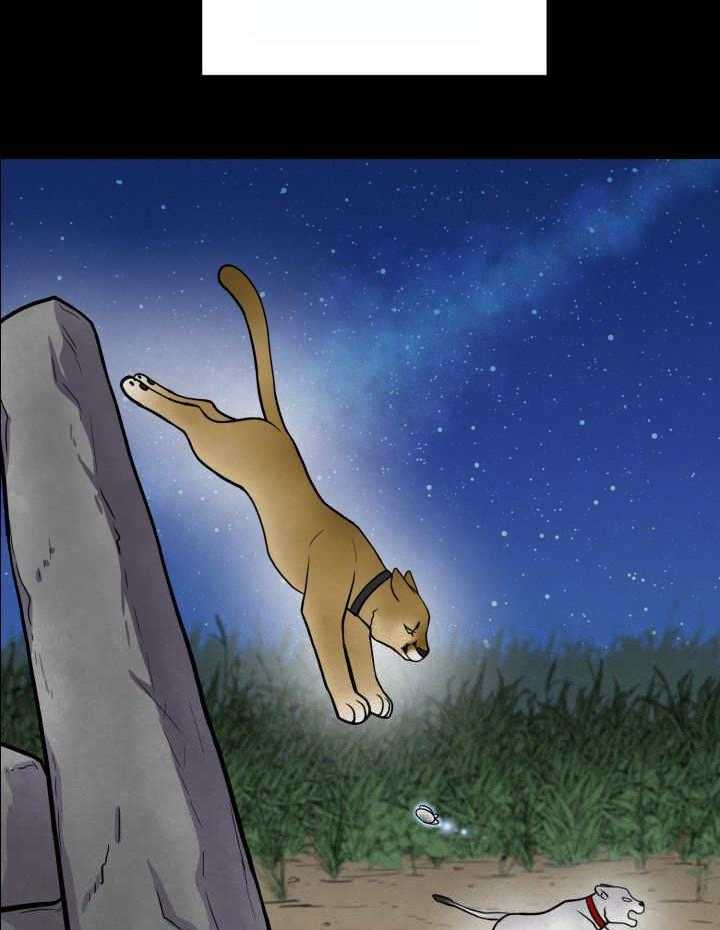 旷野之息（共2季） 第54话 第12页