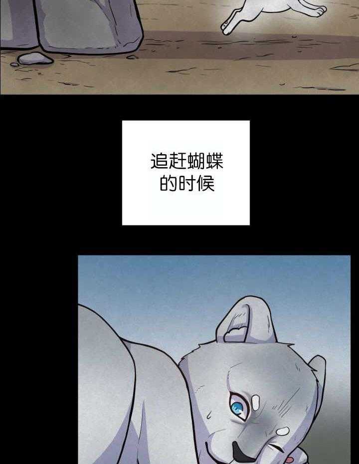 旷野之息（共2季） 第54话 第13页