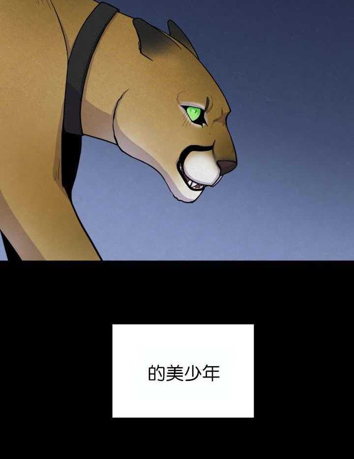 旷野之息（共2季）第54话图