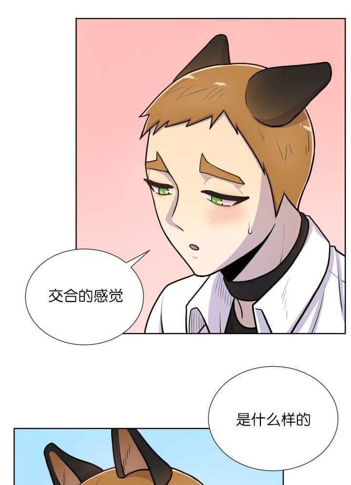 旷野之息（共2季） 第58话 第8页